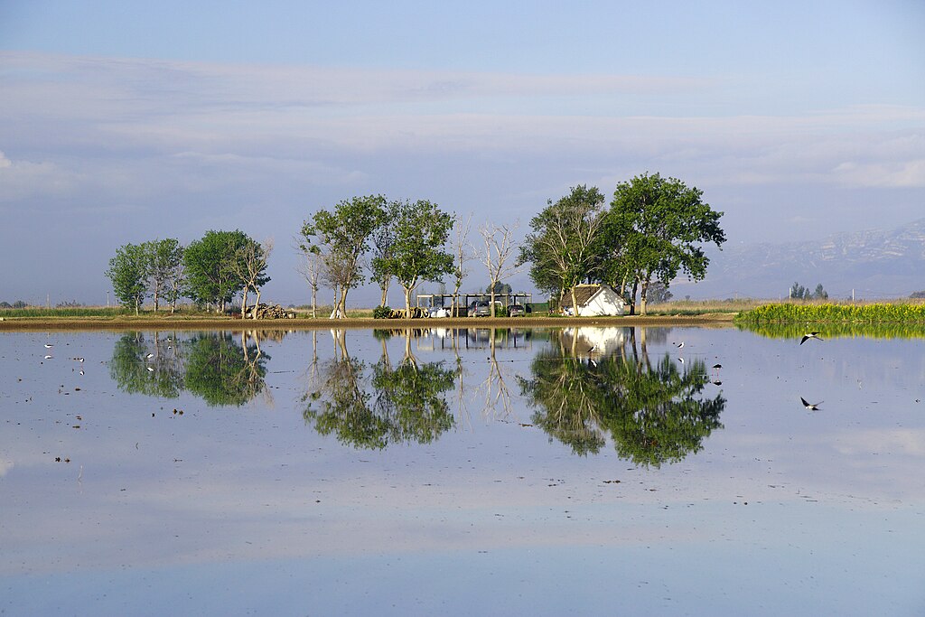 Reflejos en el Delta del Ebro