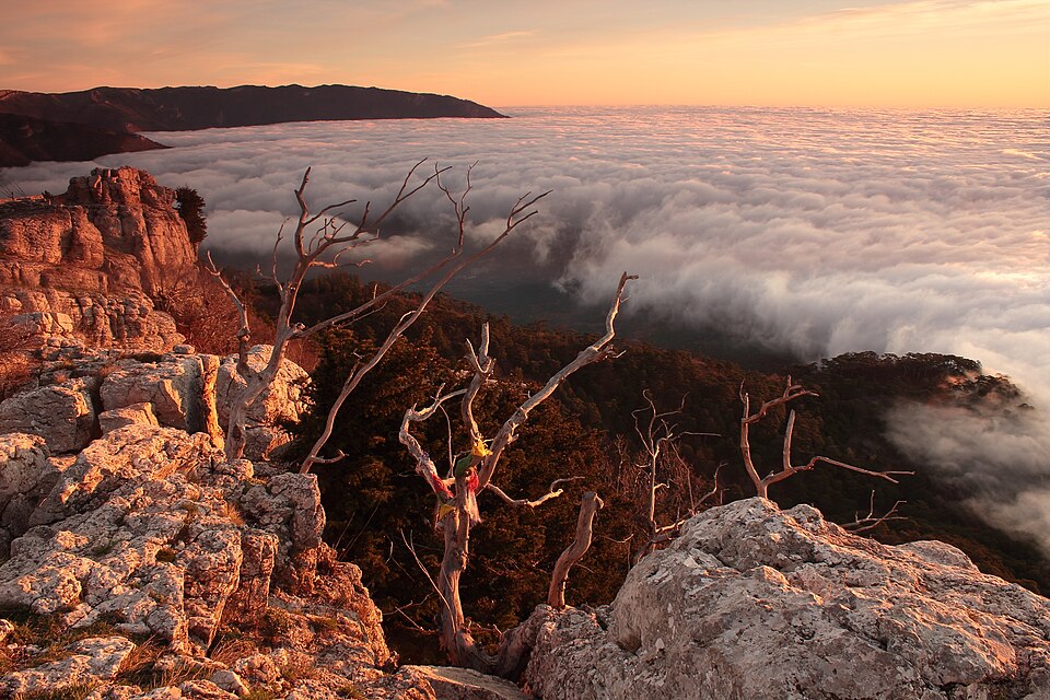 Archivo:Dawn on cloud nine.jpg