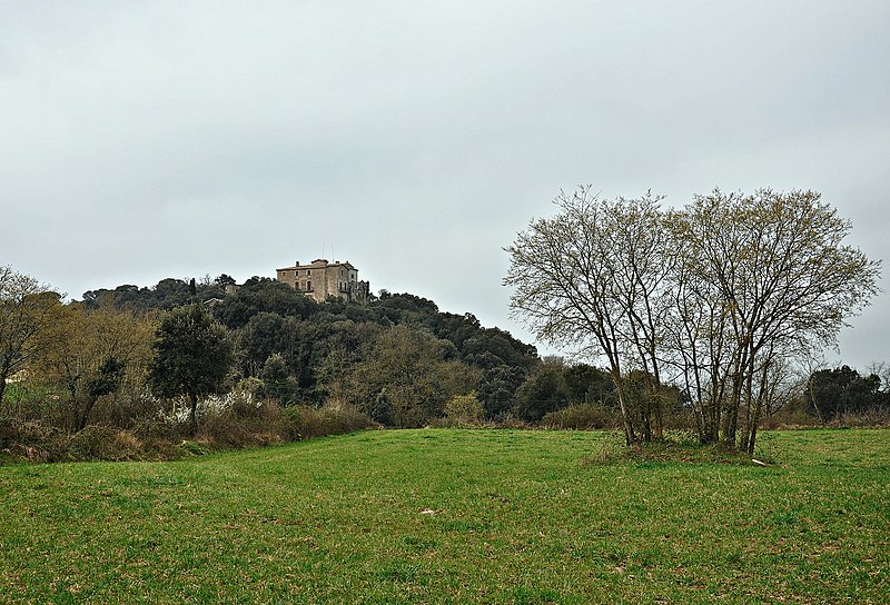 Archivo:Castell de Savassona-Tavernoles (2).JPG