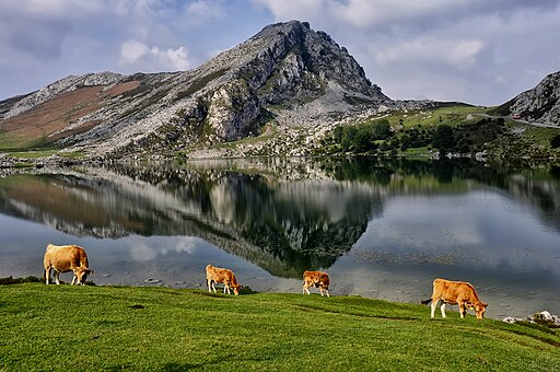 LAGOS DE COVADONGA 8