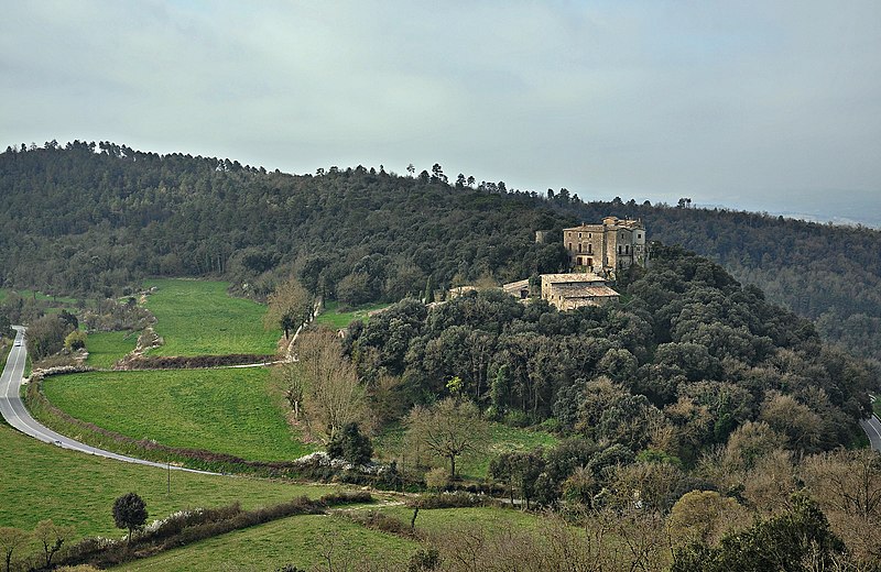 Archivo:Castell de Savassona-Tavernoles (3).JPG