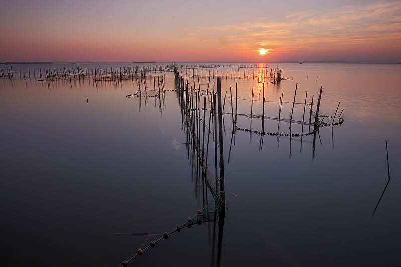 Archivo:ALBUFERA1.jpg